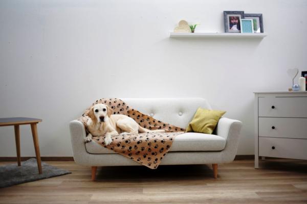 Liegedecke "Stella" 140x100cm